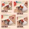 45 Pcs Needle Felting Tools, 4 Size 40 Pcs Wool Felting Needles with Plastic Handles, Needle Felting Supplies for Adult DIY Felting Wool Craft
